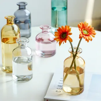 Vaza Dnevni Boravak, Suhog Cvijeća Nordic Ins Stil Staklo Prozirno Kopar Uređenje Doma Dodaci Vaze Za Dom