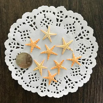 100pc,prirodno sušena male Morska zvijezda za uređenje doma svadbene zurke, mikro-pejzaž simulacija akvarija,dekor pashu poklon kutije