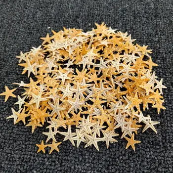 100pc,prirodno sušena male Morska zvijezda za uređenje doma svadbene zurke, mikro-pejzaž simulacija akvarija,dekor pashu poklon kutije