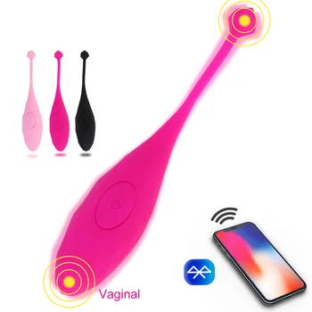 Program Bluetooth Control gaćice vibrator vibro jaja nosive loptice vibrator G Spot klitoris maser odraslog seks igračka za žene